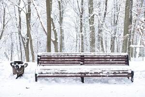 A wooden bench covered in snow, located in a serene winter park surrounded by tall trees with snow-laden branches photo