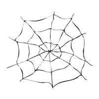 A hand-drawn spider web on a white background. vector