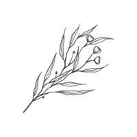 a drawing of a branch with leaves and flowers vector