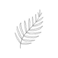 a leaf drawn in a line on a white background vector