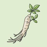 Ginseng Root and Leaves Illustration vector