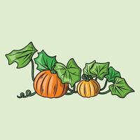 Pumpkins with leaves and vines vector