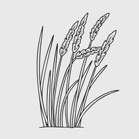Line drawing of reeds grass vector