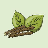 Giloy Tinospora Cordifolia with Leaves and Stems vector