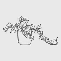 Line drawing of an english ivy plant in a pot vector