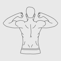 Line drawing illustration of a man flexing his muscular back muscles vector