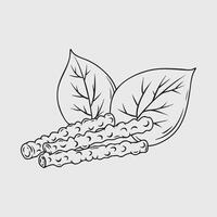 Giloy Tinospora Cordifolia with Leaves and Stems. Thin Line Illustration. vector