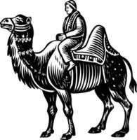 A vintage style illustration showing camel ride vector