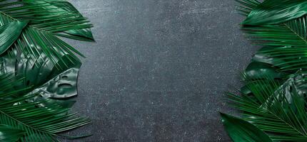 Palm leaves on dark blue background. Tropical leaves top view or flat lay. Copy space for text or design. Horizontal banner. Tropical palm leave, jungle leave floral pattern background photo