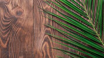 Palm leaves on brown wooden background. Tropical palm leaves top view or flat lay. Copy space for text or design. Horizontal banner. Tropical palm leave, jungle leave floral pattern background photo