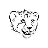 long-legged cheetah predator hand-drawn sketch vector