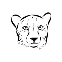 beautiful cheetah predator black and white drawing vector