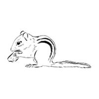 striped mischievous chipmunk black and white pattern vector