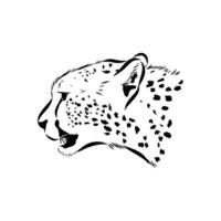Predator cheetah hand sketch vector