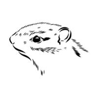 striped mischievous chipmunk drawing vector