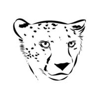 elegant predator cheetah black and white pattern vector
