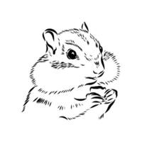 Brave animal chipmunk drawing vector