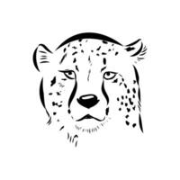 Predator cheetah drawing vector