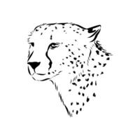 long-legged predator cheetah black and white pattern vector