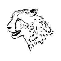 Fast predator cheetah black and white sketch vector