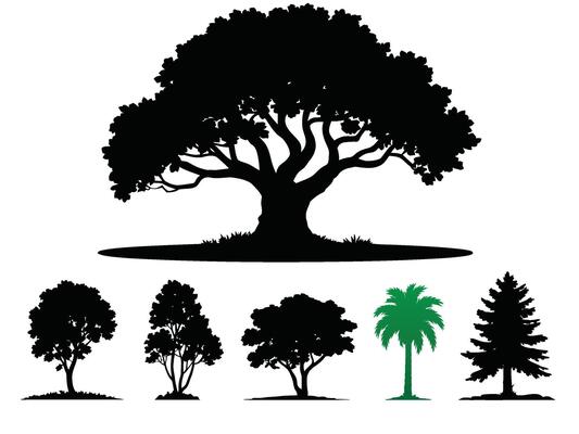 Variety of Tree Silhouettes, a collection of tree silhouettes in various shapes and styles, representing various species. Perfect for design elements