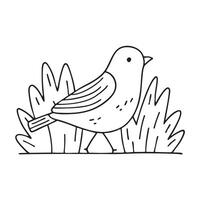 A bird walking between leaves in dense underbrush vector