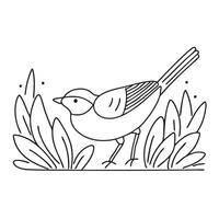 A bird moving between leaves in dense underbrush vector