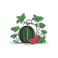Simple outline of a fruiting watermelon plant vector