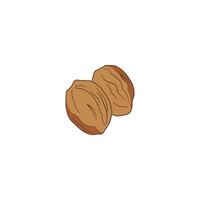 Nutmeg Seed Spice vector