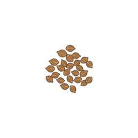 Coriander Seeds Spice vector