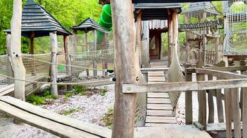 Discover a lively wooden playground with a green slide and rope bridge, designed for adventurous kids. This captures joyful moments of climbing, sliding, and exploring video