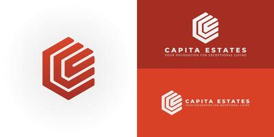 Modern CE emblem for construction and real estate. Its bold, geometric form within a hexagon symbolizes structural integrity, innovative development, and interconnected growth. vector