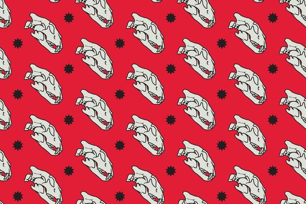 Tiger head skull side view with star pattern on red background. Predator saber skull bone with light colorful doodle isolated seamless pattern background for wildlife packaging and merchandise