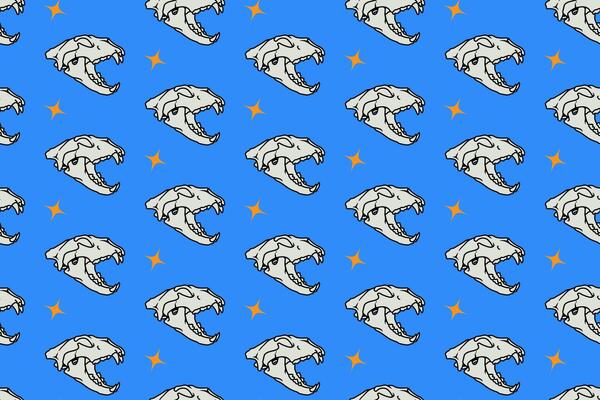 Saber head skull side view with fangs and light pattern on blue background. Tiger predator skull bone with light colorful doodle isolated seamless pattern background for wildlife merchandise