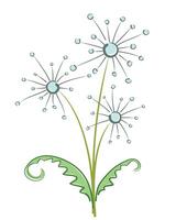 Bouquet of field dandelions. vector