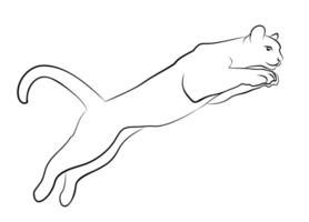 Sketch of cat in jump. vector