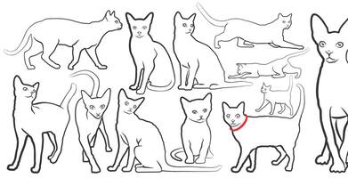 Set of sketches of domestic cats. vector