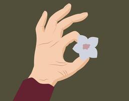 A hand holds a delicate flower. The theme is about nature, femininity, harmony and mindfulness of the moment. vector