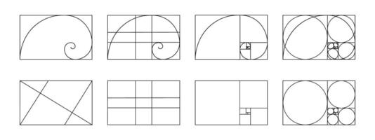 Set of golden ratio templates. Fibonacci sequence grids. Logarithmic spiral in rectangle frame divided on lines, squares and circles. Ideal symmetry proportions layouts. graphic illustration vector