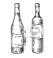 set of wine, hand drawn in ink. sketch illustration of wine styles in vintage engraved style vector