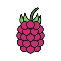 Raspberry in deep pink with green leaves builds a juicy and sweet fruit icon. vector