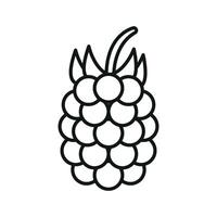 Raspberry with clean outline and cluster shape creates a fresh and healthy berry icon. vector