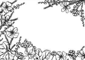 Monochrome Nordic flowering cloudberry and heather branches frame with empty space for text. Tundra marsh plants graphic sketch for packaging, botanical posters and organic product labels. vector