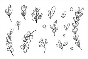 Abstract branches, leaves, berries and flowers set. Monochrome botanical elements in Scandinavian style. For creating Nordic patterns, holiday cards, textile designs and nature decoration vector