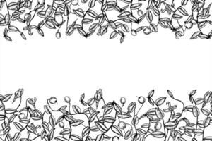 Horizontal monochrome frame with cranberry branches with blank space for text. Wild berries etching drawing for food packaging, cosmetic labels, holiday cards and organic product design. vector