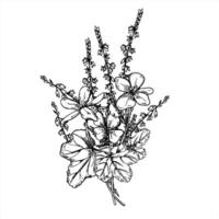 Monochrome bouquet of Nordic flowering cloudberry and heather branches line art black ink sketch. Tundra plants graphic sketch for wedding invitation, botanical print, rustic packaging design vector