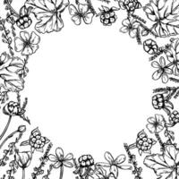 Cloudberries and heather branches square monochrome frame with blank space for text. Nordic berry etching drawing for medicinal product packaging, healthcare infographic, phytotherapy branding vector