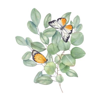 Watercolor bouquet of eucalyptus branches with fluttering yellow white butterflies isolated background. Silver dollar greenery for wedding invitations, romantic branding, and ethereal home decor
