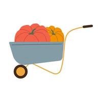 Isolated flat illustration of garden barrow with two pumpkins on white background. Cottagecore lifestyle. Texture effect vector