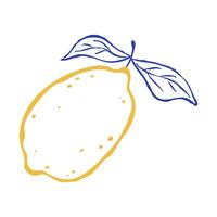 Flat illustration of single lemon with two leaves. Hand drawn line art italian style. Citrus tropical fruits. Use for print, logo vector